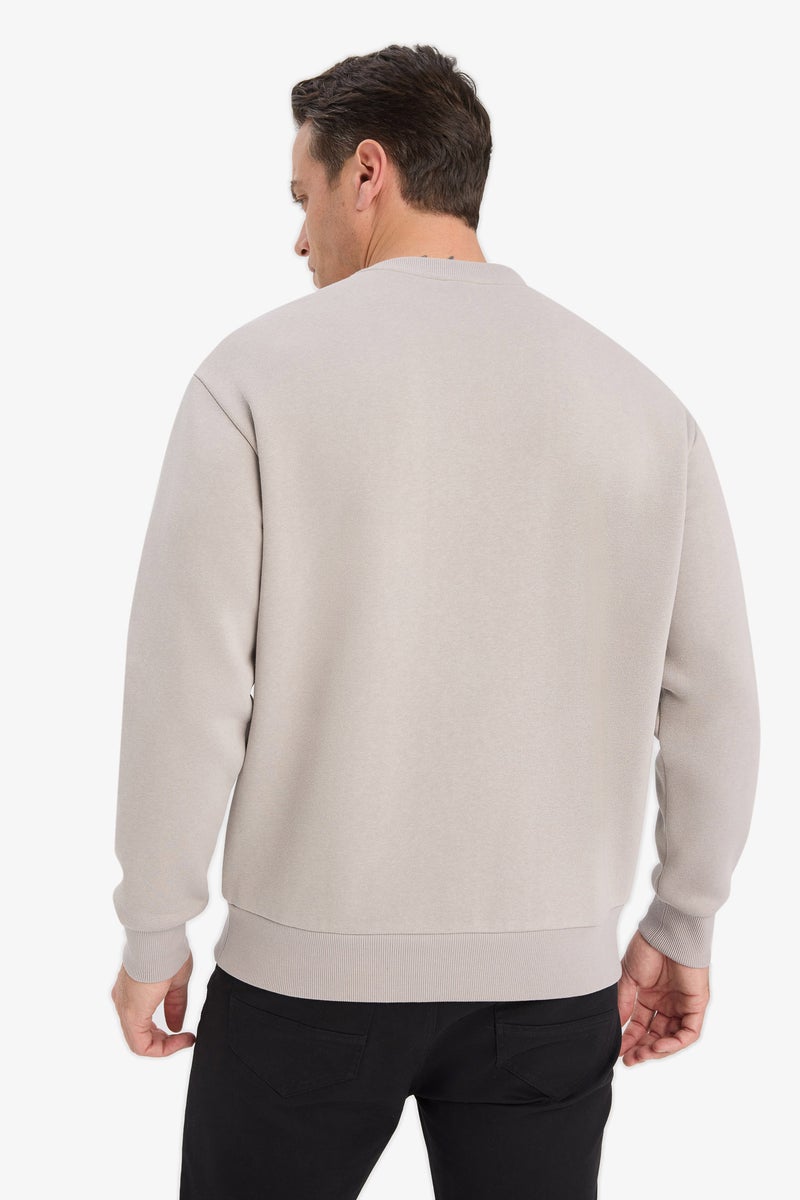 DeFacto Grey Man Relax Fit Crew Neck Thick Basic Sweatshirt Casual - Image 5